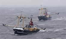 Visserijbeleid Noordzeevisserij