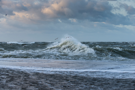Storm aan de kust - Foto Tineke Dijkstra