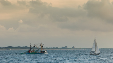 Meervoudig ruimtegebruik Noordzee