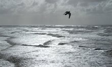 Noordzee 3