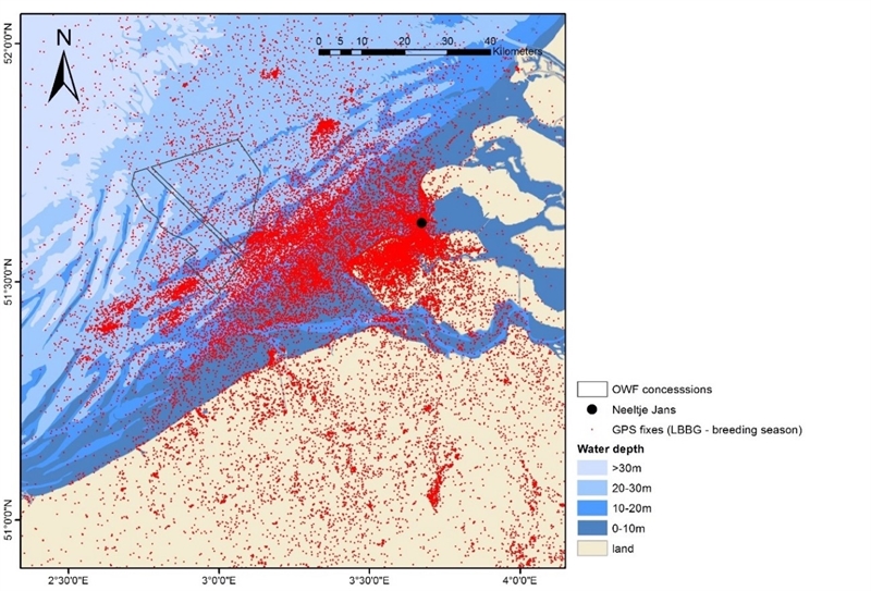 Figuur 1 GPS-data van de verspreiding van kleine mantelmeeuwen gedurende het broedseizoen