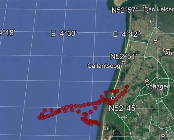 2.2 Bat flight track