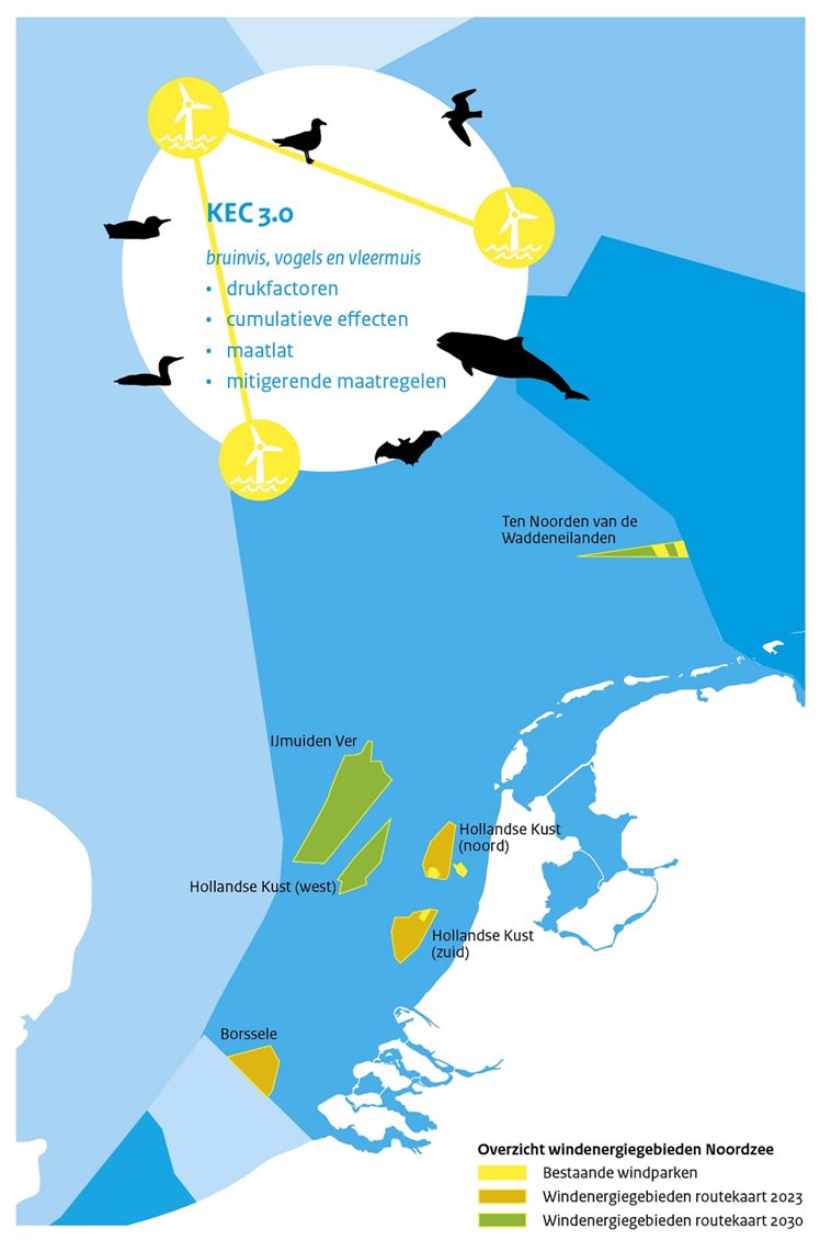 Infographic_KCE3.0_IDONnieuwsbrief27_Maart2019 1000 PX