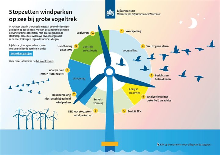 Stopzetten windparken op zee bij grote vogeltrek