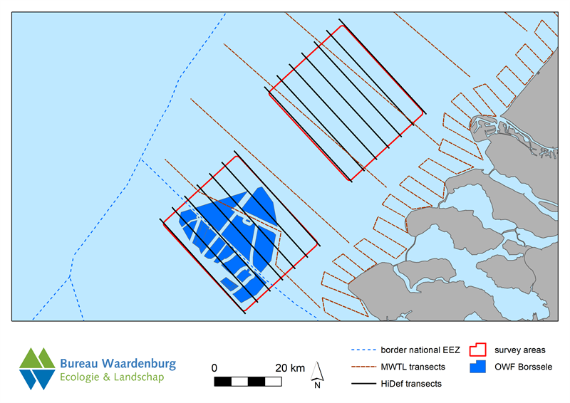 Transecten studiegebieden