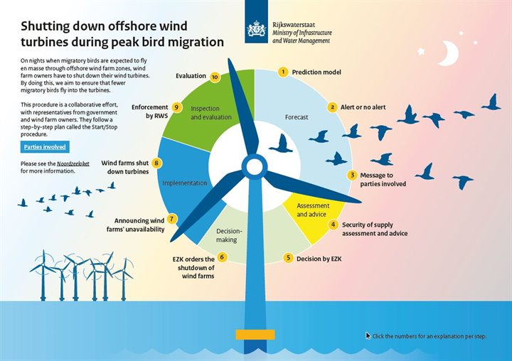 Infographic Shutting down offshore wind turbines during peak bird migration